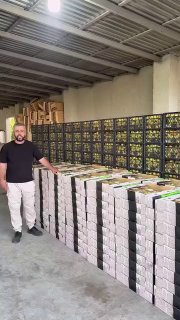 Первая тонна армянских абрикосов отправляется в Сингапур от компании Davtyan Farms
