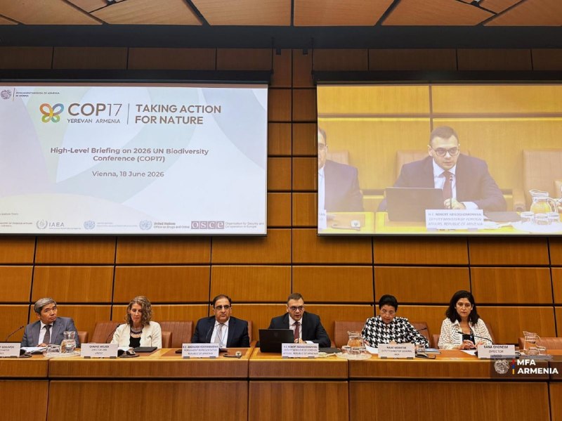 Армения представила в ООН подготовку к COP17 по биоразнообразию в Ереване