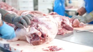 Компания «Атенк»: новые инвестиции в производство мясных продуктов в Армении