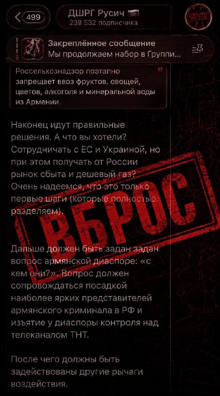 Заявление Z-неонацистского подразделения «ДШРГ Русич» об угрозах армянской диаспоре в РФ, на фоне политического выбора