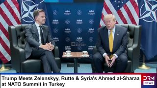 Трамп приостанавливает торговлю с Испанией: реакция Мадрида