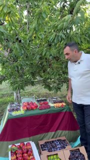 Первая партия армянских фруктов отправлена в ОАЭ компанией Araratyan Farm