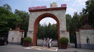 Животные из особняка Гагика Царукяна в карантинной зоне Ереванского зоопарка