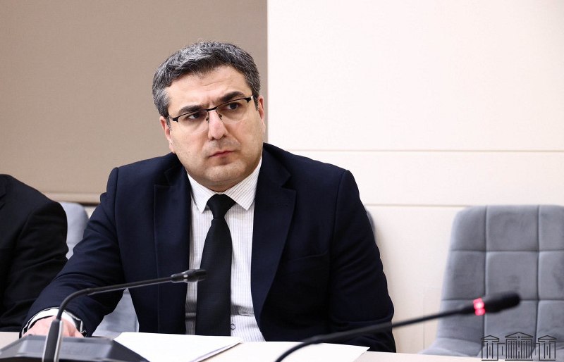 Более 39 тысяч карабахцев получили гражданство Армении, заявил замглавы МВД